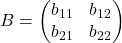 B = \begin{pmatrix} b_{11} & b_{12} \\ b_{21} & b_{22} \end{pmatrix}